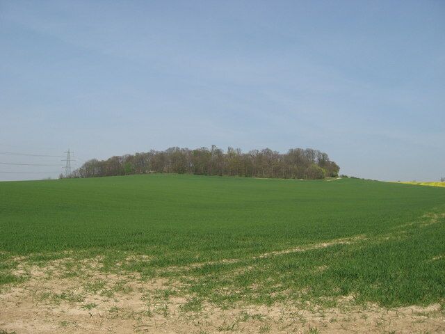 Farmland on the Audley Estate Farmland on the Audley Estate. High Balks copse at the top of the hill.
