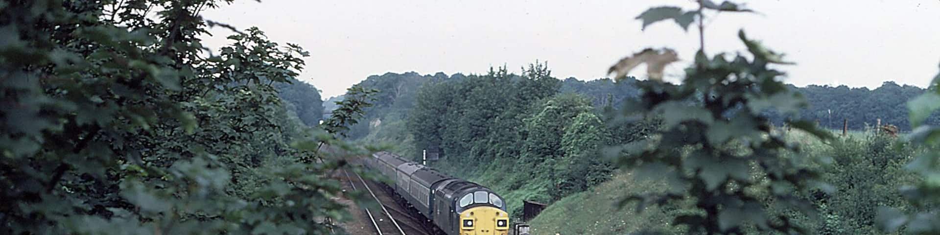 Approaching Audley End, near to Wendens Ambo, Essex, Great Britain. An unidentified Class 37 approaches Audley End with a Cambridge to Liverpool Street service.