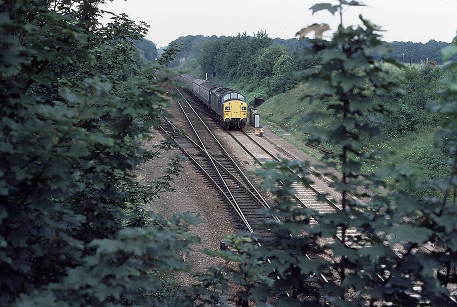 Approaching Audley End, near to Wendens Ambo, Essex, Great Britain. An unidentified Class 37 approaches Audley End with a Cambridge to Liverpool Street service.