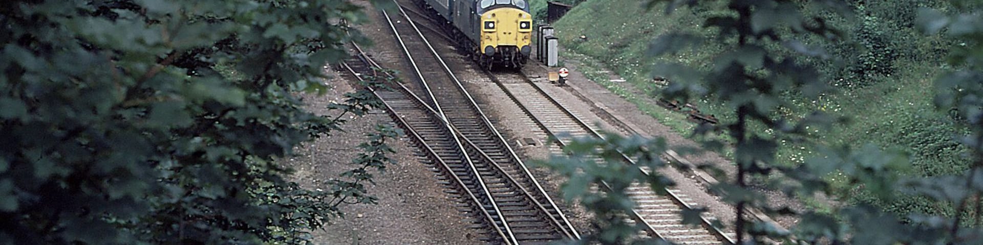 Approaching Audley End, near to Wendens Ambo, Essex, Great Britain. An unidentified Class 37 approaches Audley End with a Cambridge to Liverpool Street service.