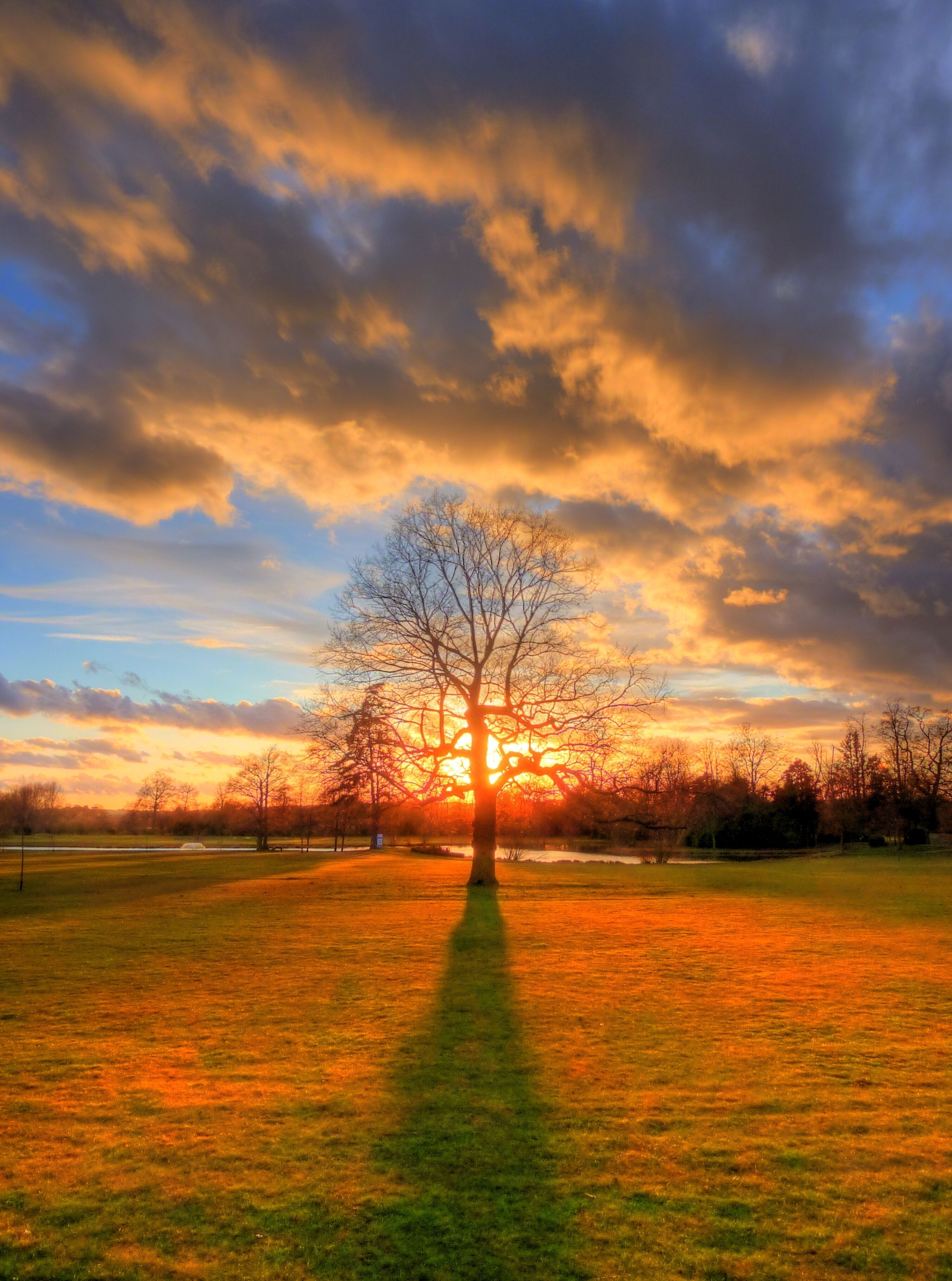 Long shadow of Sanger