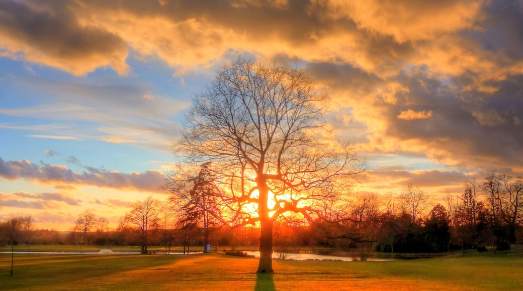 Long shadow of Sanger