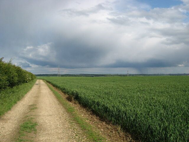 Cereal crops near Wendens Ambo Views across cereal crops on farmland near Wendens Ambo. Some angry-looking storm clouds on the horizon.