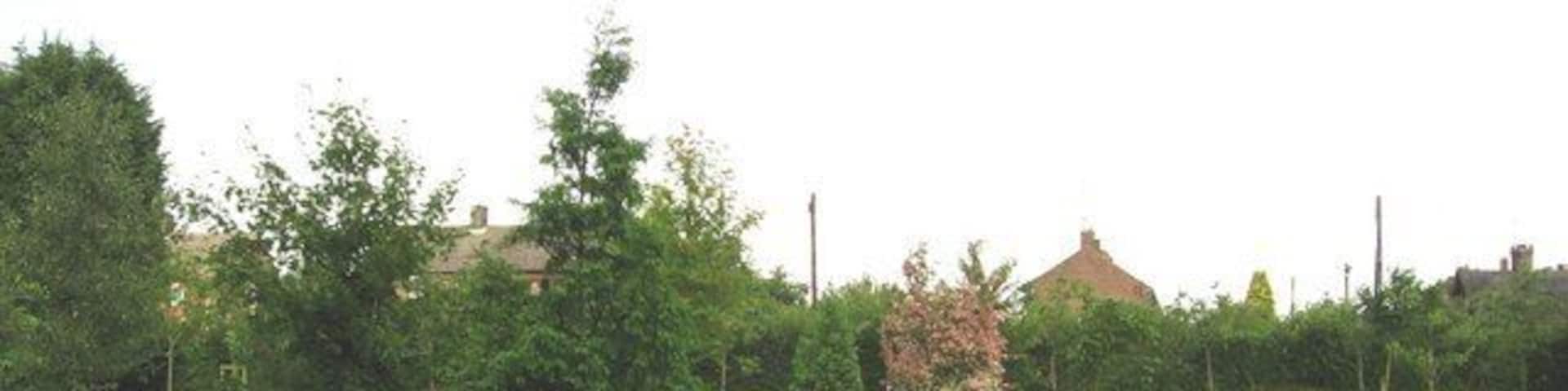 Ashdon Arboretum The Arboretum has been planted to the south of the path leading to the church.