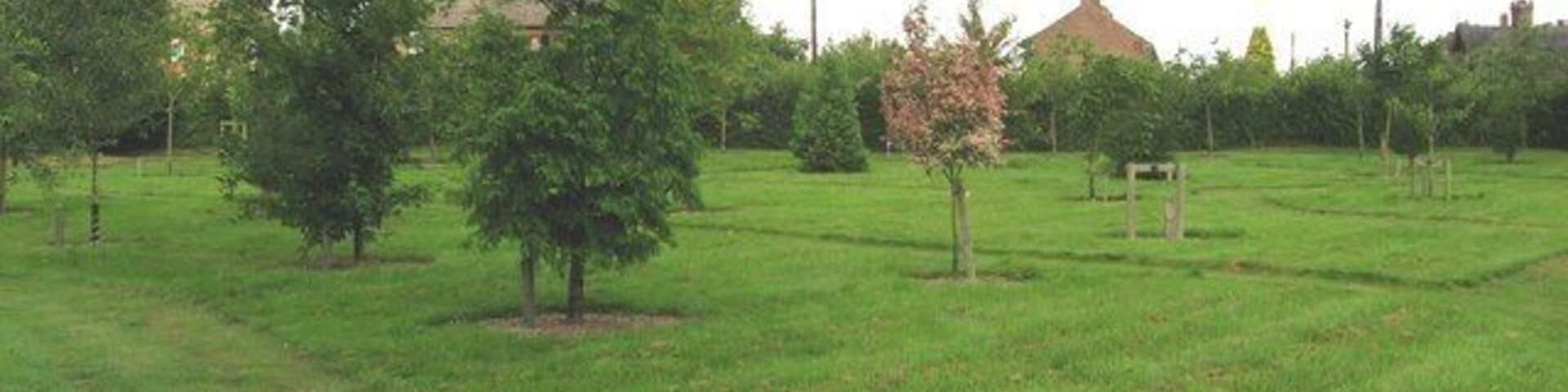 Ashdon Arboretum The Arboretum has been planted to the south of the path leading to the church.