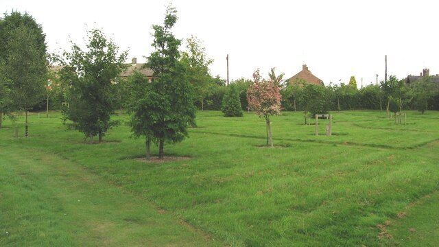 A grassy field with several trees and a distant building.