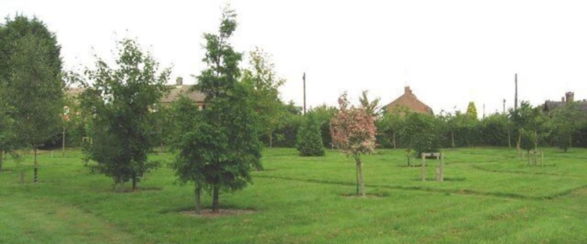 A grassy field with several trees and a distant building.