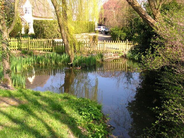 Conyards Farmhouse pond