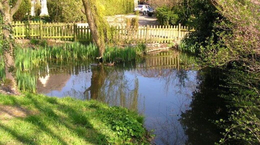 Conyards Farmhouse pond