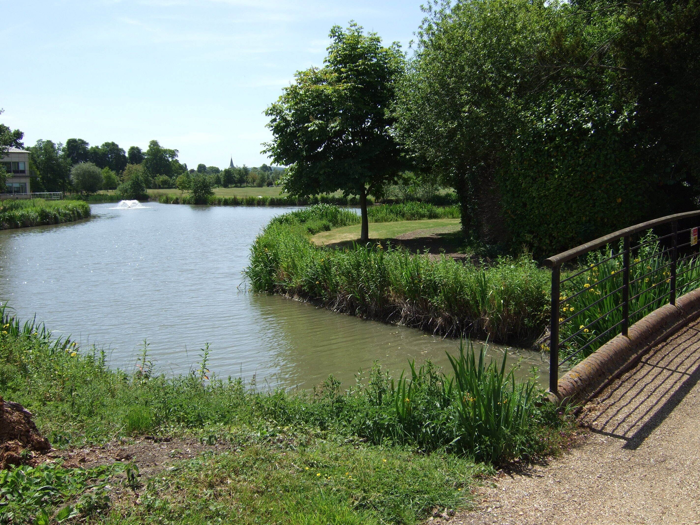 A calm river with a bridge, lush greenery, and a distant building.