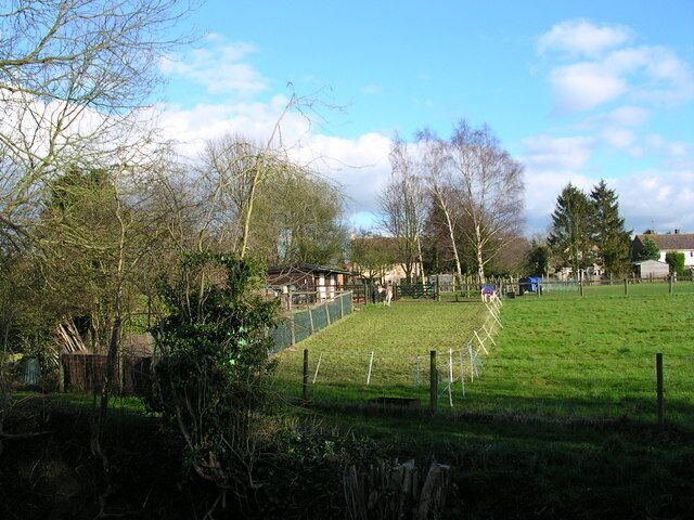 2 cute donkeys Pets who provide fertilizer.