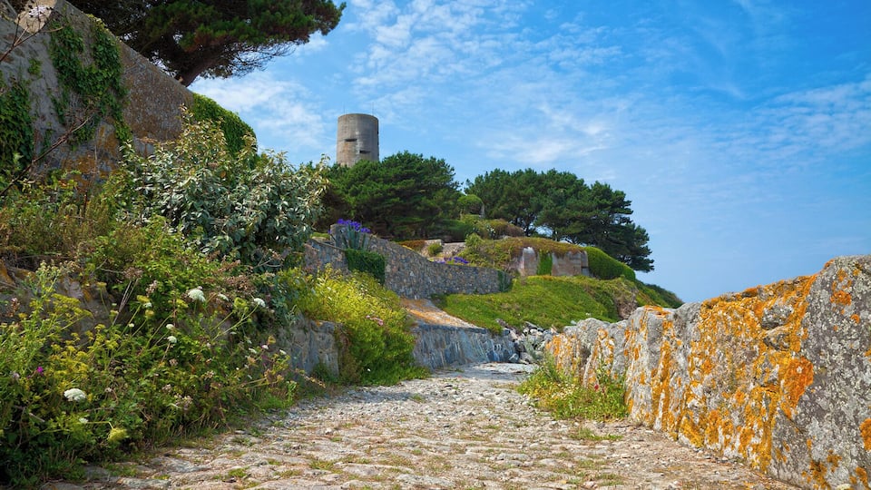 A cobblestone path leading to a stone tower amidst lush greenery and moss-covered rocks.