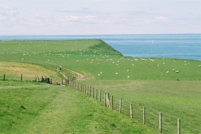 Coastal path south of Staithes. Part of Cleveland Way National Trail