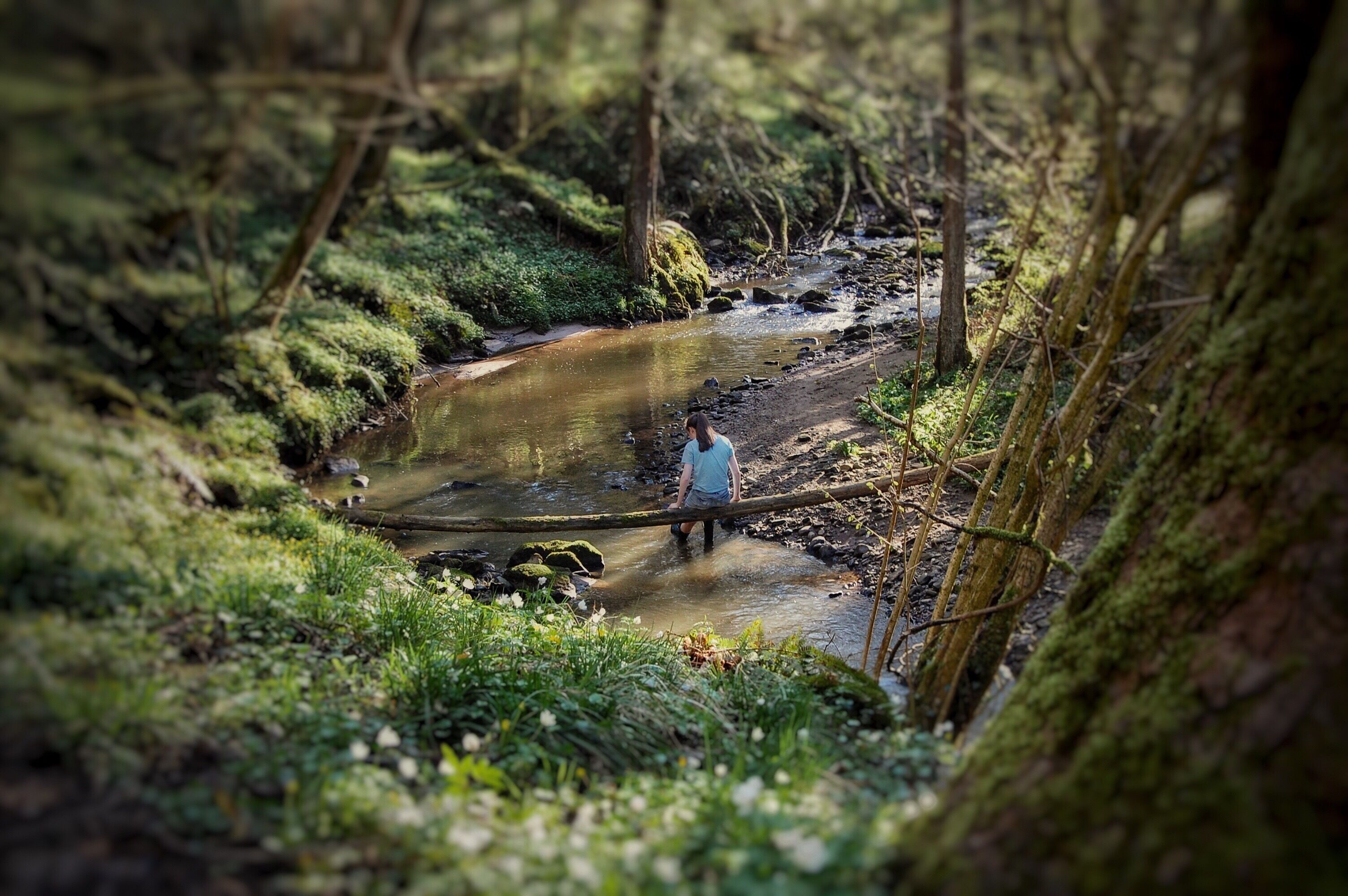 Taken from the path looking down the river  