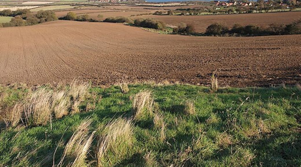 View across farmland near Ellerby The two villages that can be seen are Ellerby on the right and Runswick Bay.