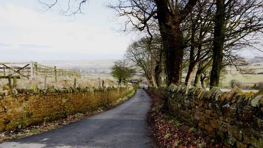 Cleveland Street Trail near Skelton Green This photograph shows a view of the Cleveland Street Trail as it approaches its junction with Boosbeck Road (from where the picture was taken). The viewing direction was east-north-easterly - looking towards North Skelton.