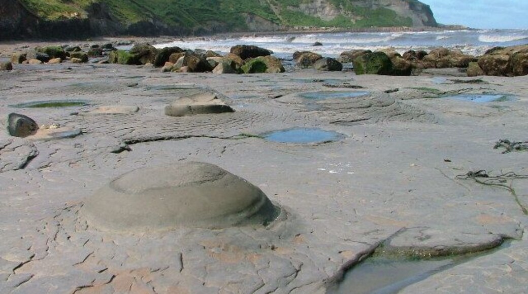 Nodules in the Mudstone Shore of Port Mulgrave. Port Mulgrave is an excellent place for fossil hunting. Unfortunately we didn't find any big complete ones for photographing. Just bits of ammonites and belemnites. So had to settle for a picture of these nodules which I believe are formed when either lime or iron in the jurassic sea bed sediments gathers around a centre of attraction such as a shell.