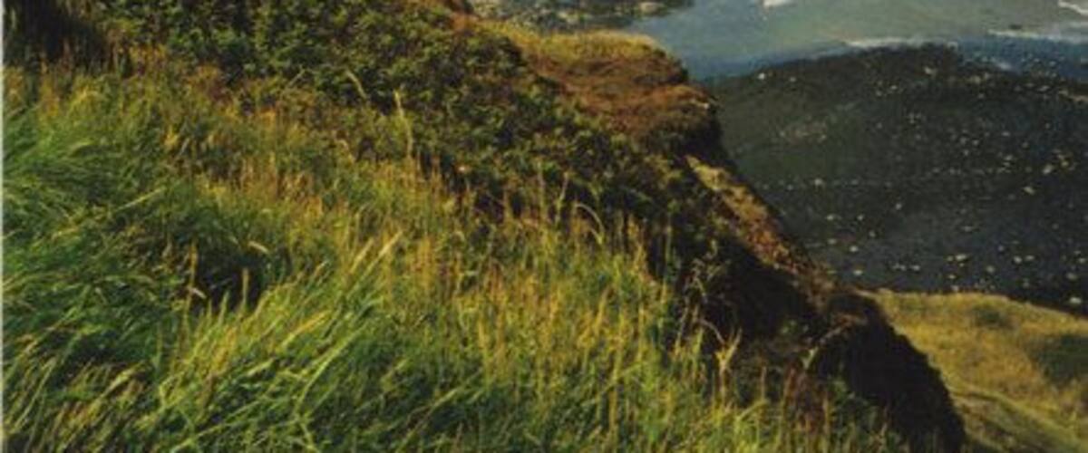 Brackenberry Wyke and Old Nab The wonderful colours make this such a popular place to walk. The afternoon I was there I didn't hear a British voice. The place was full of German tourists all striding out!