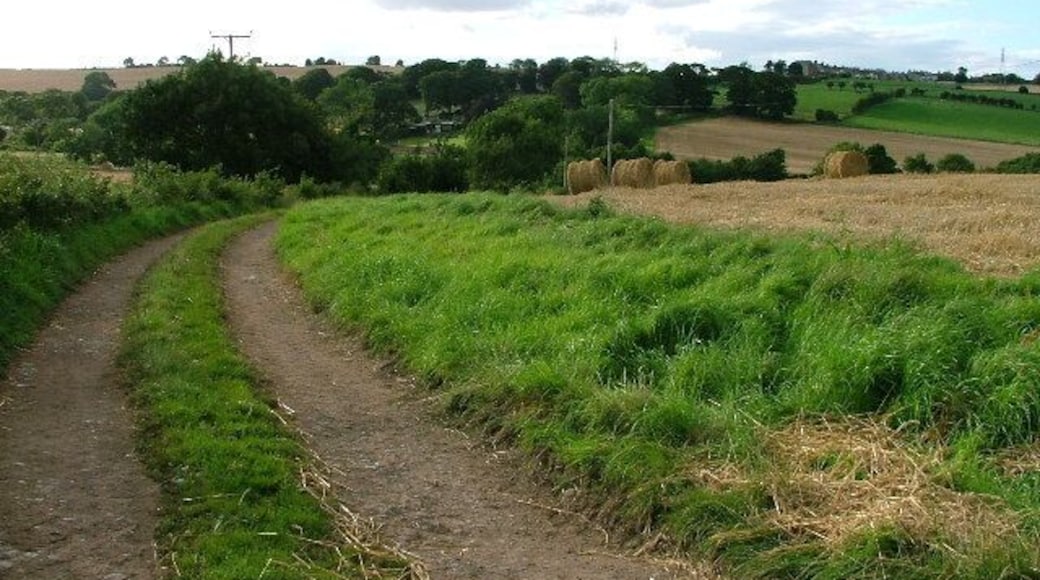 Public Bridleway Just Below Priestcrofts. Looking north west across Boos Beck valley.