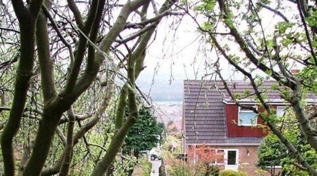 Ginnel off Saltburn Road, Brotton. A Ginnel is a Yorkshire word for the passageway between houses although coming from the East Midlands I would call it a twitchel.