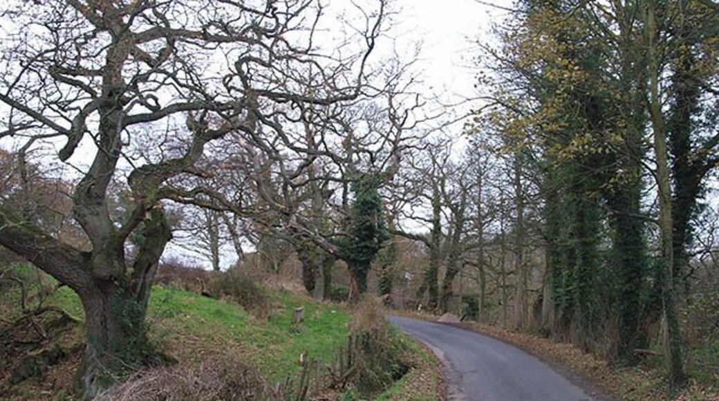 Broom House Lane Here the lane climbs up from Mickleby Beck, on its way to Ugthorpe.