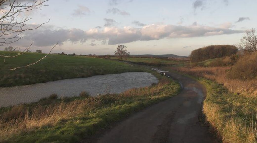 Small pond East of Liverton