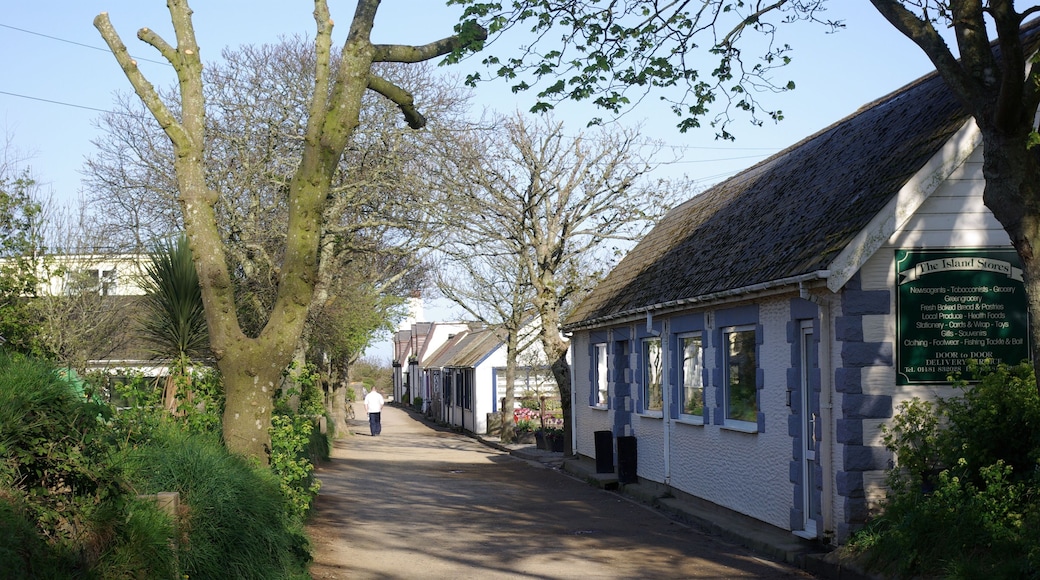 Sark eine der Kanalinsel. Die StraĂe mit den GeschĂ€ften und der Post. Der Blick geht in Richtung der Haltestelle des Treckers fĂŒr die Personenbeföferung (geotag in den EXIF-Daten).