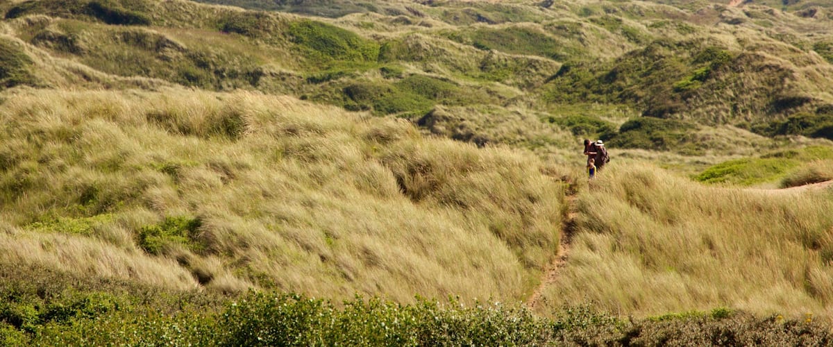 Saunton presenterar stillsam natur och vandring