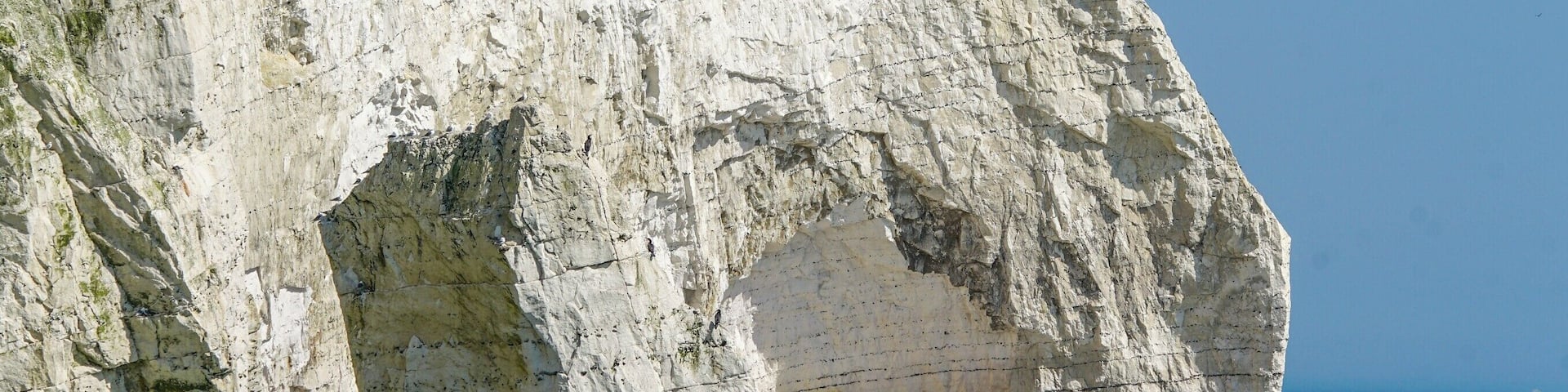 Seaford Cliffs