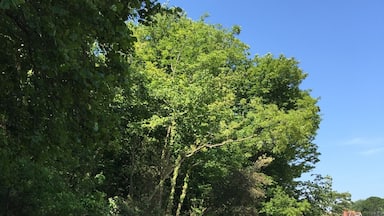 Horstone Point. Isle of Wight. #IoW #beachbound #beach #nationaltrust