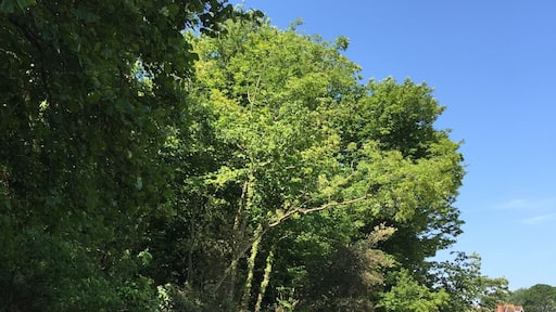Horstone Point. Isle of Wight. #IoW #beachbound #beach #nationaltrust