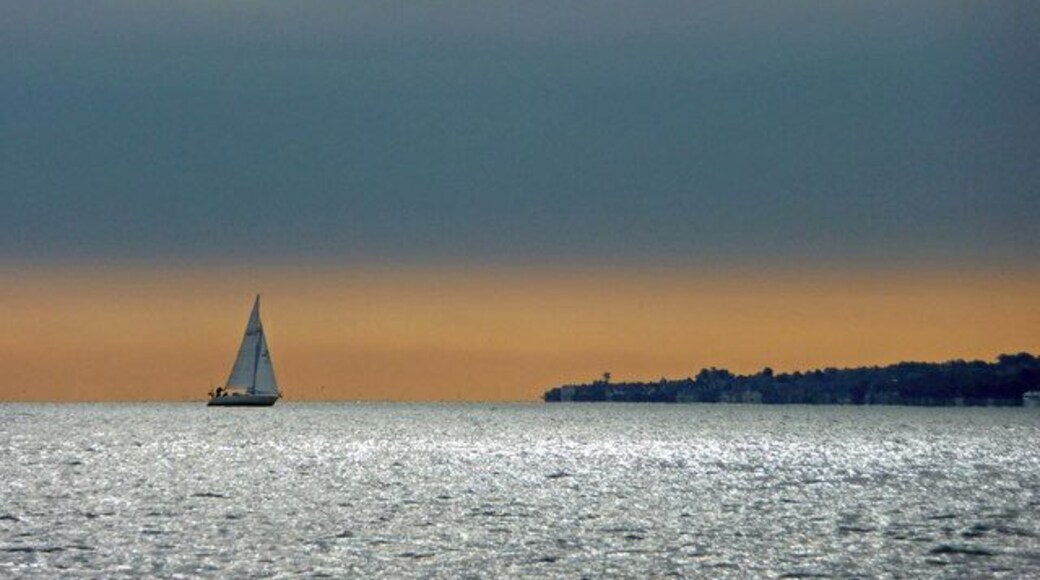 Nettlestone Point, Isle of Wight Looking across Spithead towards Nettlestone Point.