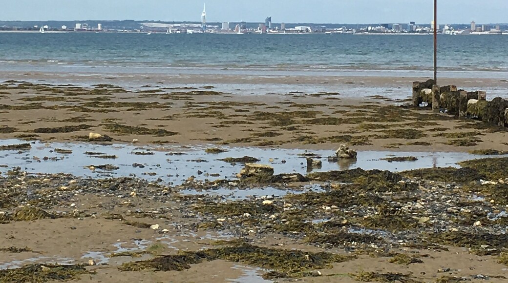Beautiful quiet beach which is fun to explore 😊