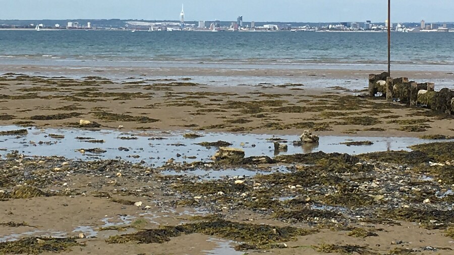 Beautiful quiet beach which is fun to explore 😊