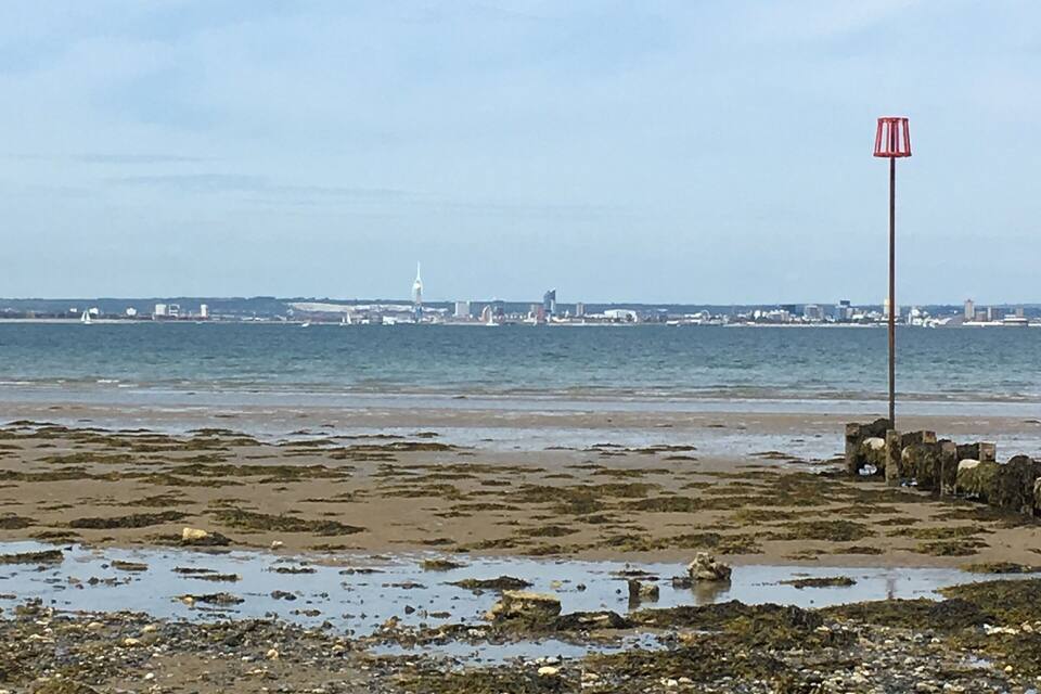 Ein Strand mit Seetang und Felsen, ein rotes Schild und eine ferne Skyline mit Gebäuden und einem Turm.