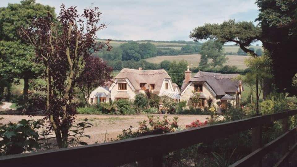A rural landscape with traditional houses surrounded by trees and fields.