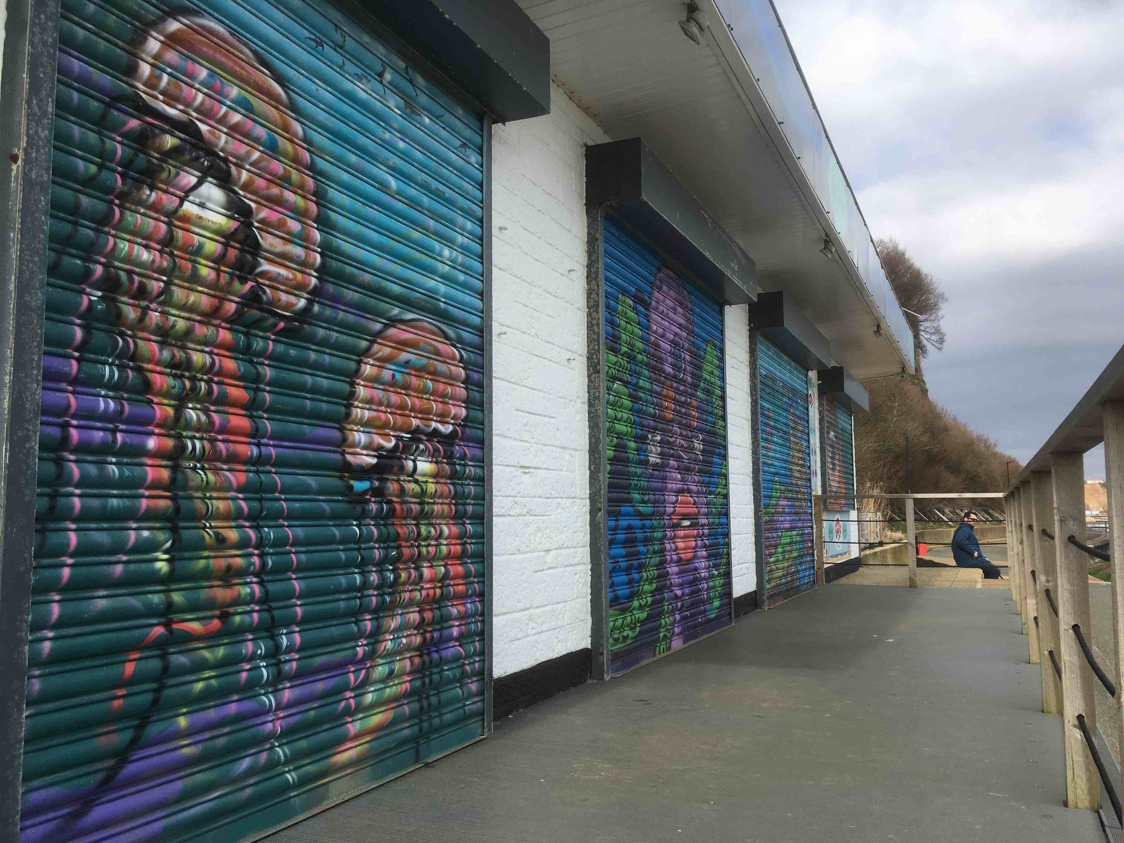Beautifully painted shutters