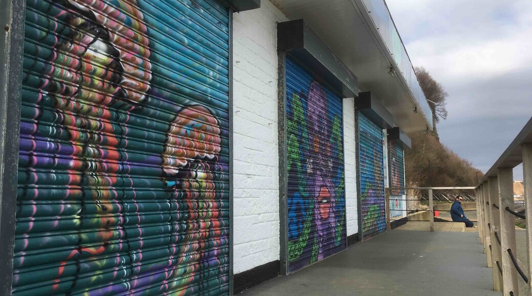 Beautifully painted shutters