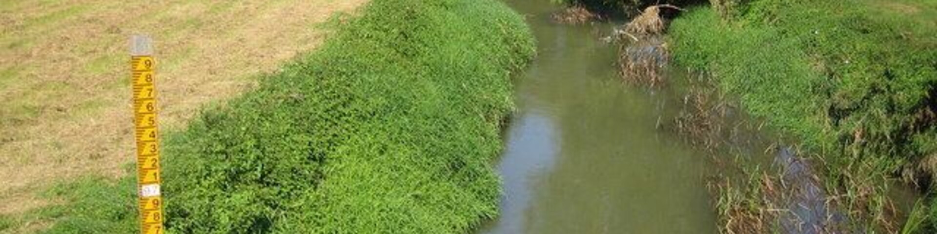 Um canal de água estreito, ladeado por vegetação verde densa e um poste de medição amarelo.