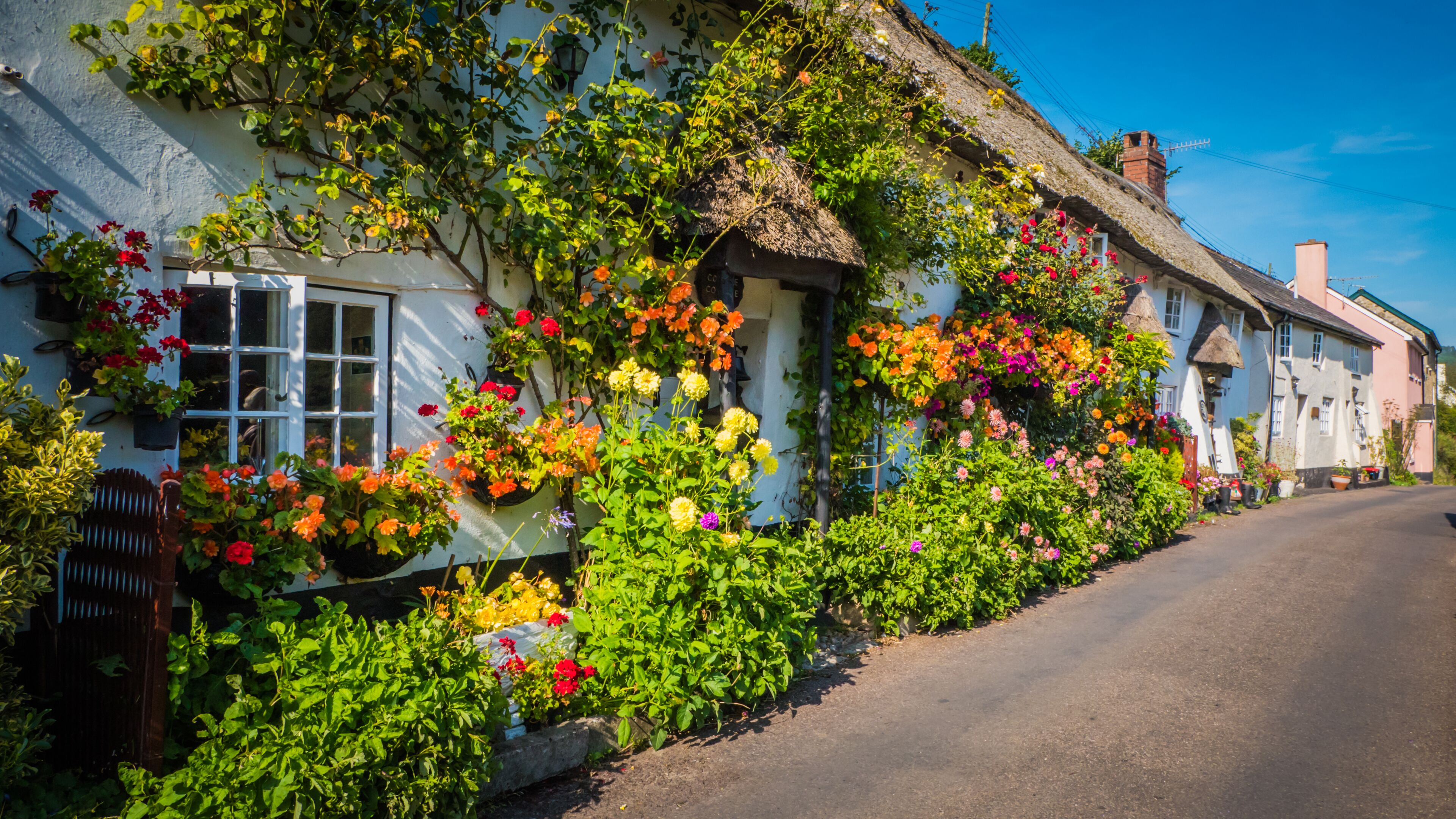 A quaint village with thatched-roof cottages, vibrant flower boxes, and a narrow road.
