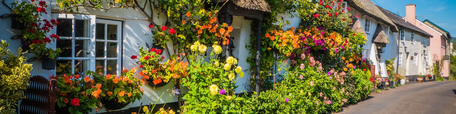 A quaint village with thatched-roof cottages, vibrant flower boxes, and a narrow road.