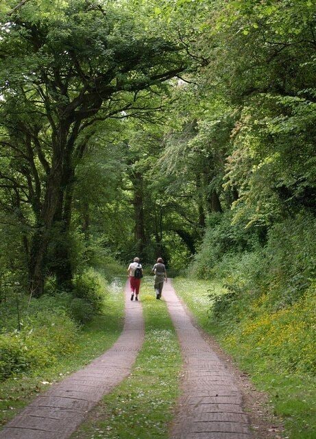 Path at Dunscombe Sidmouth Footpath 137 passes through the rather discreet caravan park at Dunscombe Manor on its way to join the coast path.