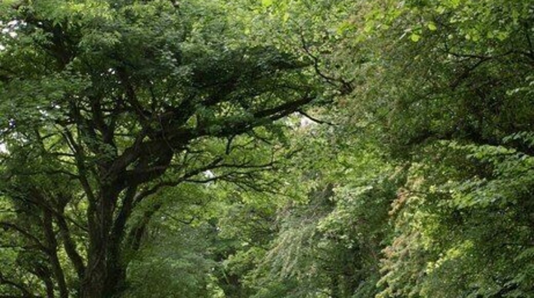 Path at Dunscombe Sidmouth Footpath 137 passes through the rather discreet caravan park at Dunscombe Manor on its way to join the coast path.