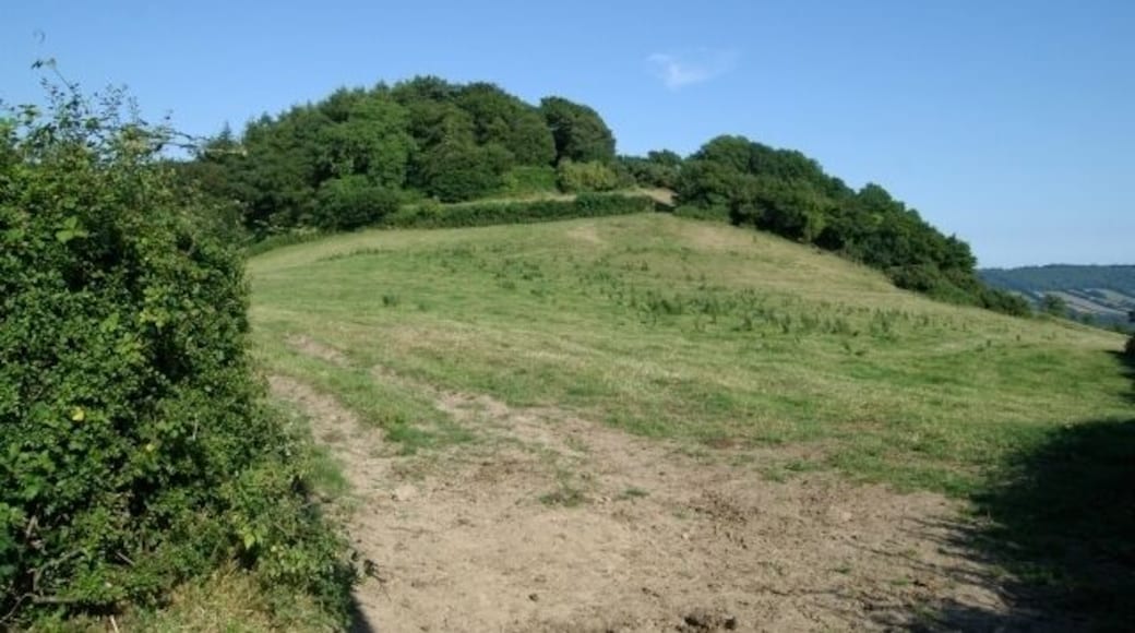 Sidbury Castle. The site of Sidbury Castle, east Devon.