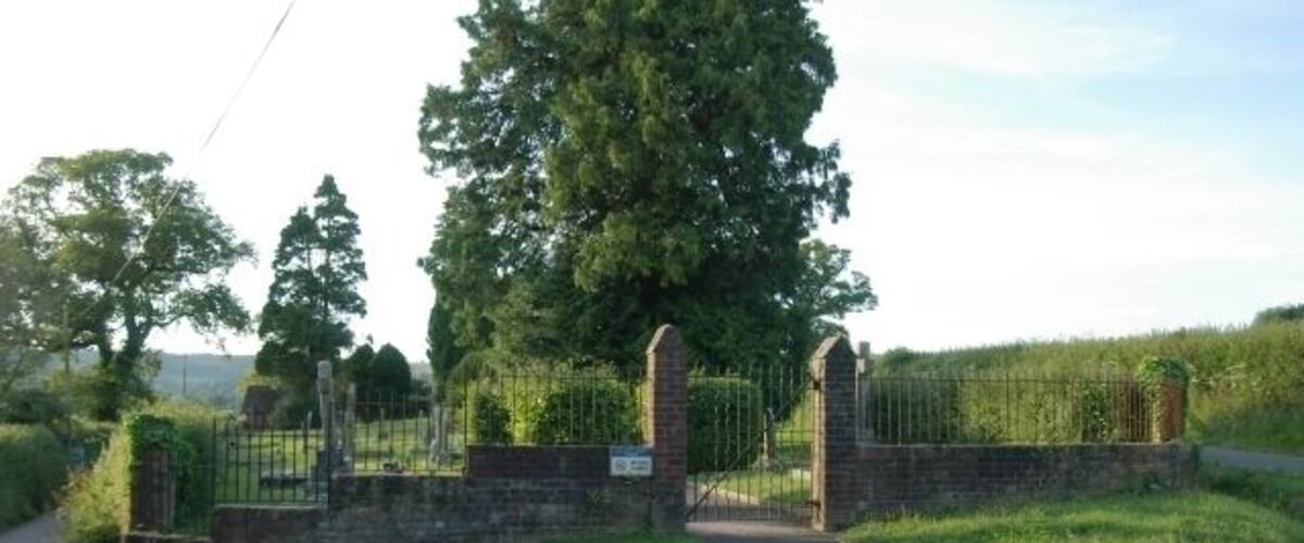 A gated rural road with a stone wall and metal gate, surrounded by greenery and trees.