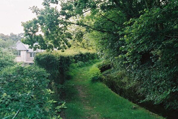 Sidbury: Manor Mill Leat. The water-powered Manor Mill has been restored and is open to the public