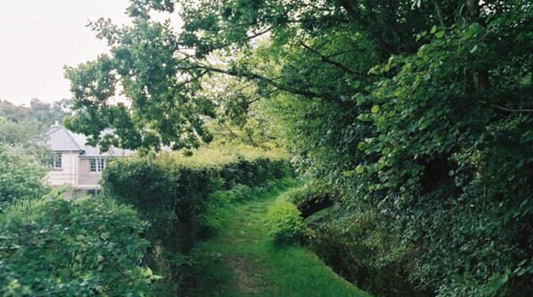 Sidbury: Manor Mill Leat. The water-powered Manor Mill has been restored and is open to the public