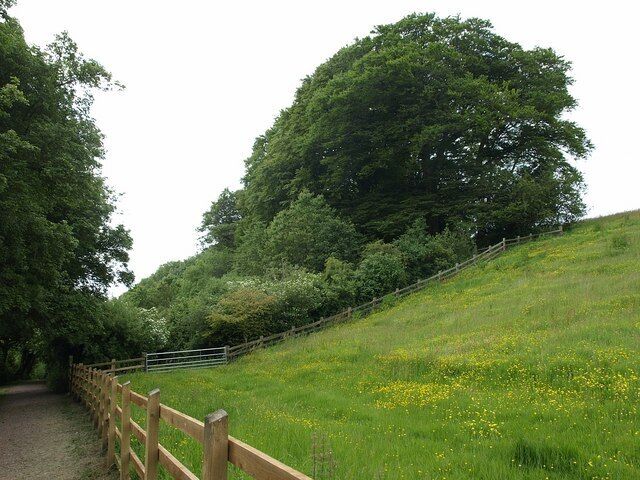 Hermit's House Coppice. Sidmouth Footpath 147 drops down Weston Combe past this wood on the eastern slopes of the valley. The field on the right is part of 1012607.