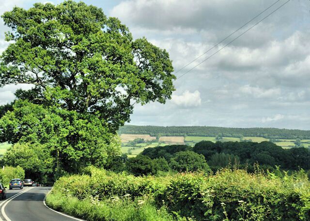 A rural road with a large tree on the left and a view of rolling hills in the distance.