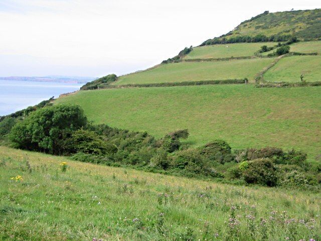 Springcombe Looking up to the eastern side of Salcombe Hill. The gully in the bottom of the valley takes the stream to the beach at Salcombe Mouth.